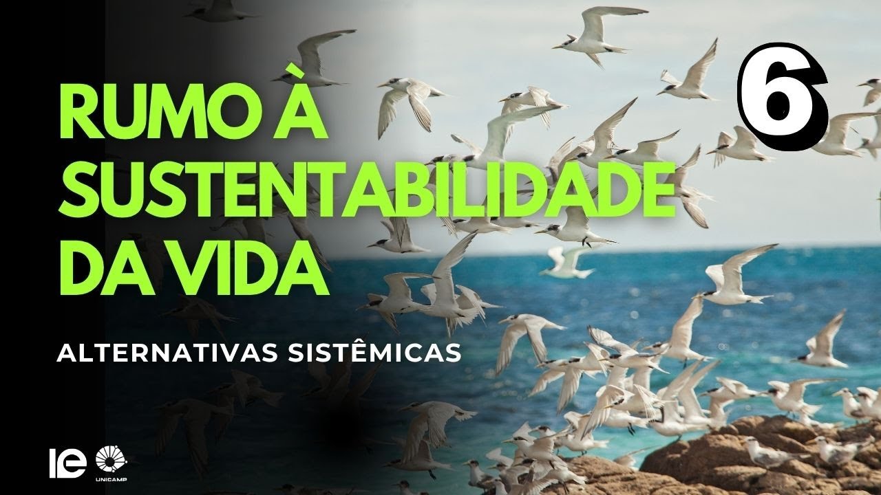 Mineração e territórios diante da transição energética