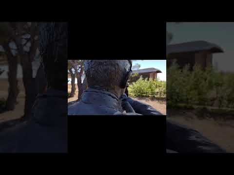 Gato Ossés: CUATRO TIROS (minivideo)