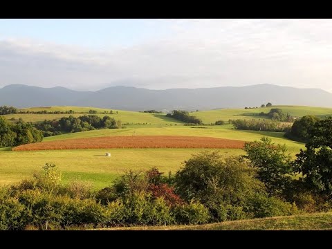 Leoš Janáček - Jenufa Suite