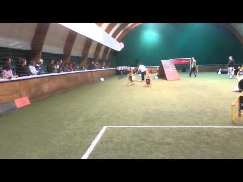 Davor i Elky - 4. kolo DP Srbije 2013 - 1. trka