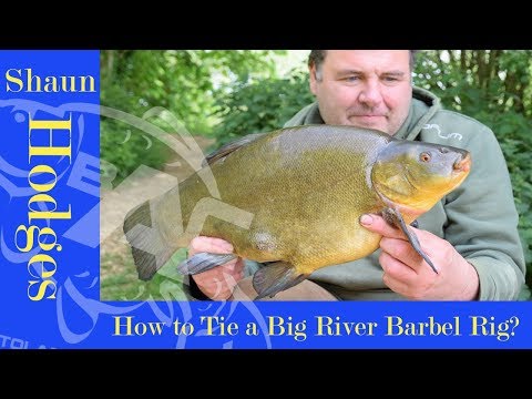 How to tie Barbel Rigs for Big Rivers? BAC Top Tips with Shaun Hodges.