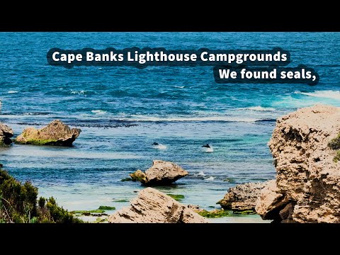 Cape Banks Lighthouse Campgrounds, Seals on the beach, Grey Nomads Caravanning Australia, EP - 164
