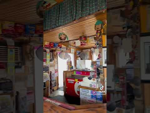 The Dam Saloon Video Review