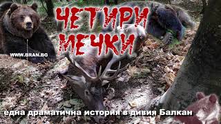 Четири мечки