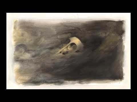 Wabi Ryvola - Rychlé šípy