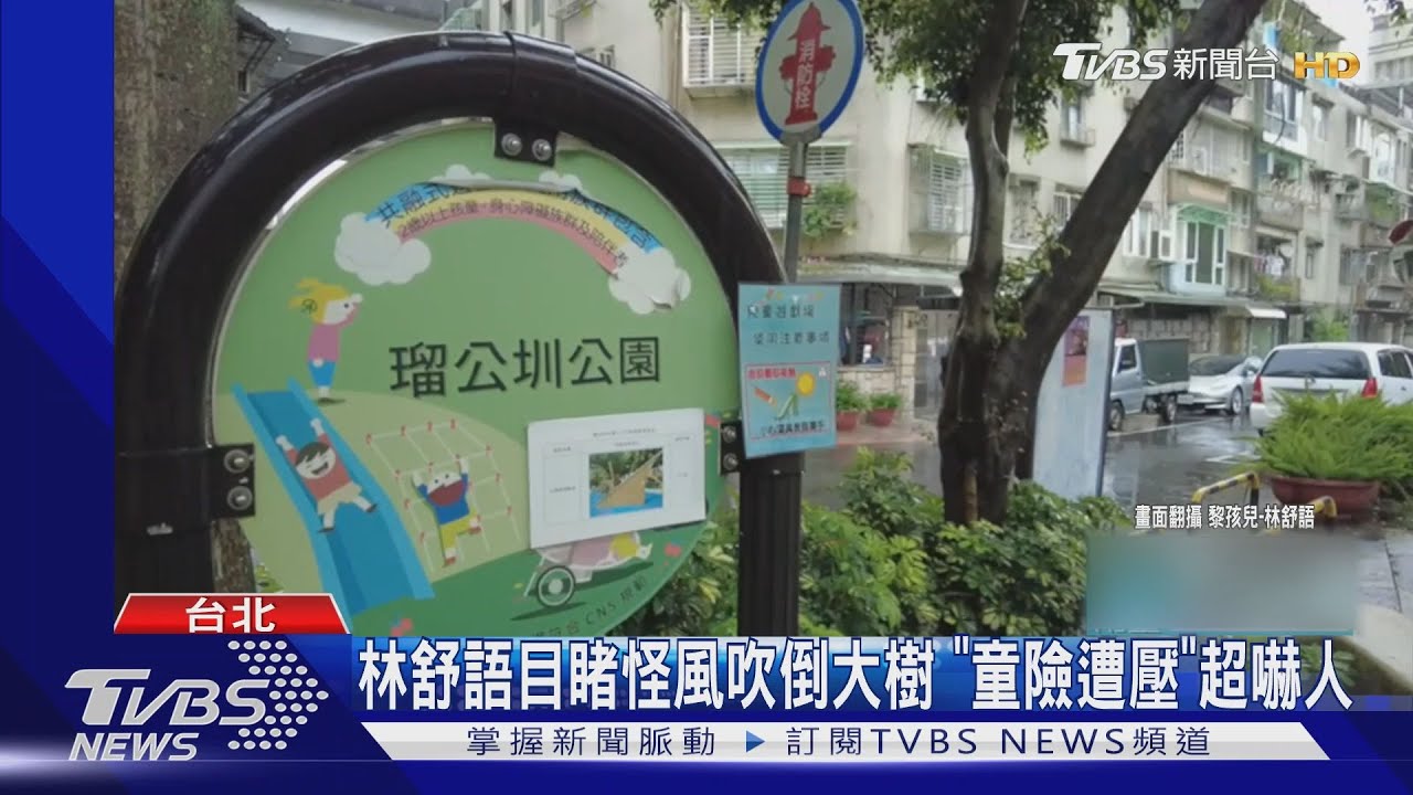 好嚇人!怪風吹斷樹「險壓童」 林舒語親睹現場:太驚悚