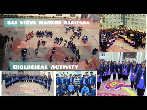 Biological activity of our Institute