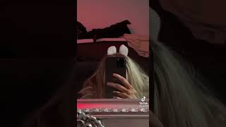 Bugs Bunny New TikTok Challenge #bugsbunny #tiktok #bugsbunnychallenge #foryou #fyp #hot