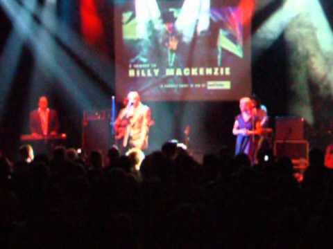 Billy MacKenzie Tribute 2007 (montage) | dsoaudio