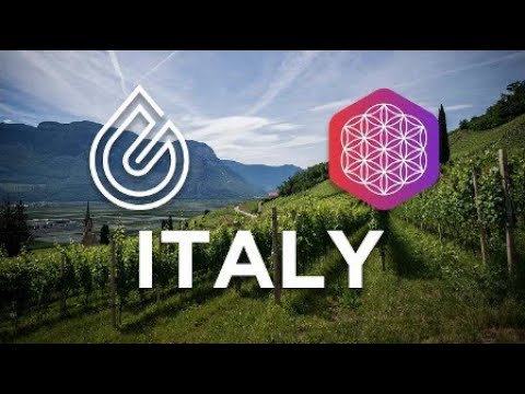 Azienda italiana — CSR Contributor Program