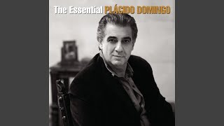 Dulcinea from Man of La Mancha