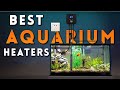 Best Aquarium Heaters On The Market