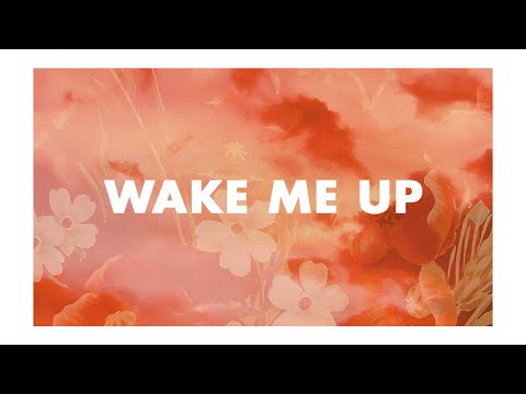 Foals // Wake Me Up (Instrumental & Lyrics)