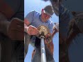 Double Trim Horse Farrier Horsecare Animal Hooves Horsefarrier Equestrian Satisfying Asmr