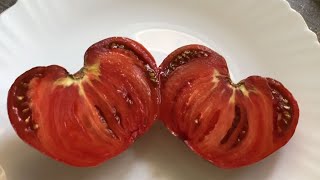 Подготовка почвы и семян для выращивания томата Дробленое сердце