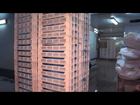 filete crudo sin piel