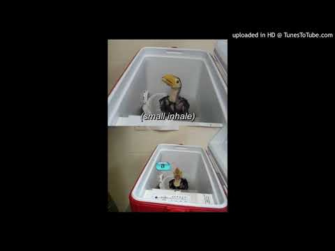 Virtual Money - Phantom remix