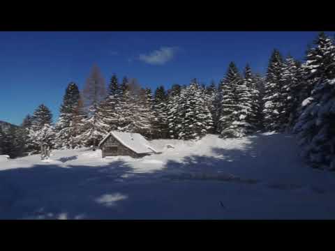 PUSTROUŽEKI-NOVOLETNA