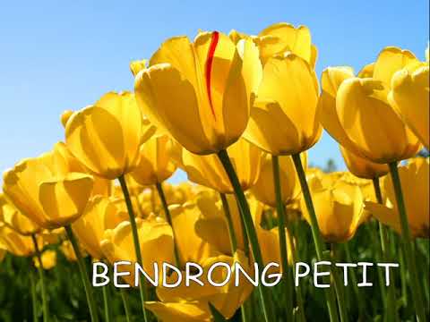 Klasikan Sunda   Bendrong Petit