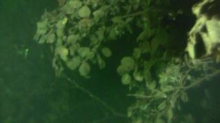preview picture of video 'Grudniowe nurkowanie techniczne w Sproitz/Wetro.'
