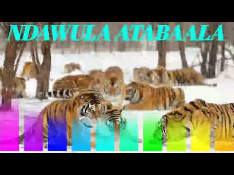 Ndawula atabaala - Lubaale song