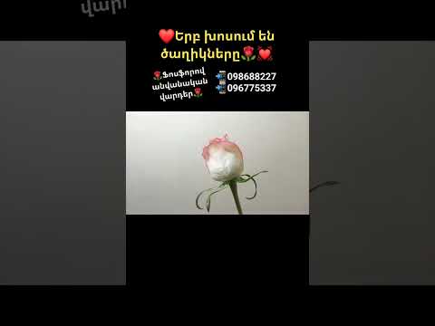 Ֆոսֆորով  Ծաղիկներ I Ruzan I #2024 #caxik #flowers #shorts