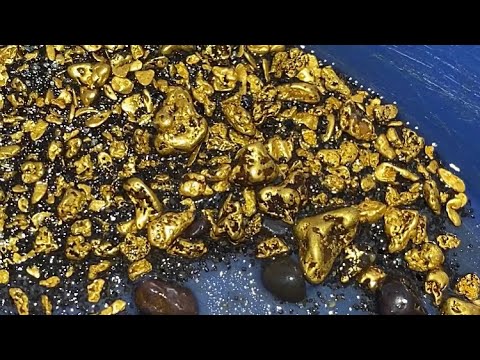 More Than 100 Thousand Reais in Gold Found