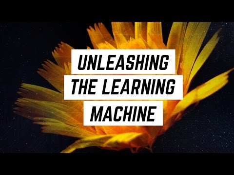 Teaching a Growth Mindset: Unleashing the Learning Machine