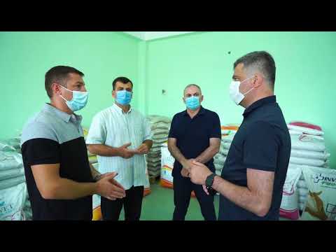 გორის ფილიალის გახსნა