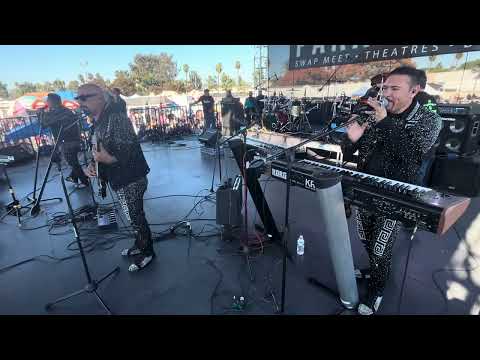 Enfrentamiento musical bondadosos y felinos@diario Del Pueblo suscríbete🎥🎬🎶