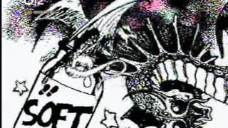 The soft pink truth - Promofunk (2003, 480p)