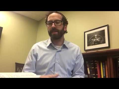 Netziv on the Parsha - Noah