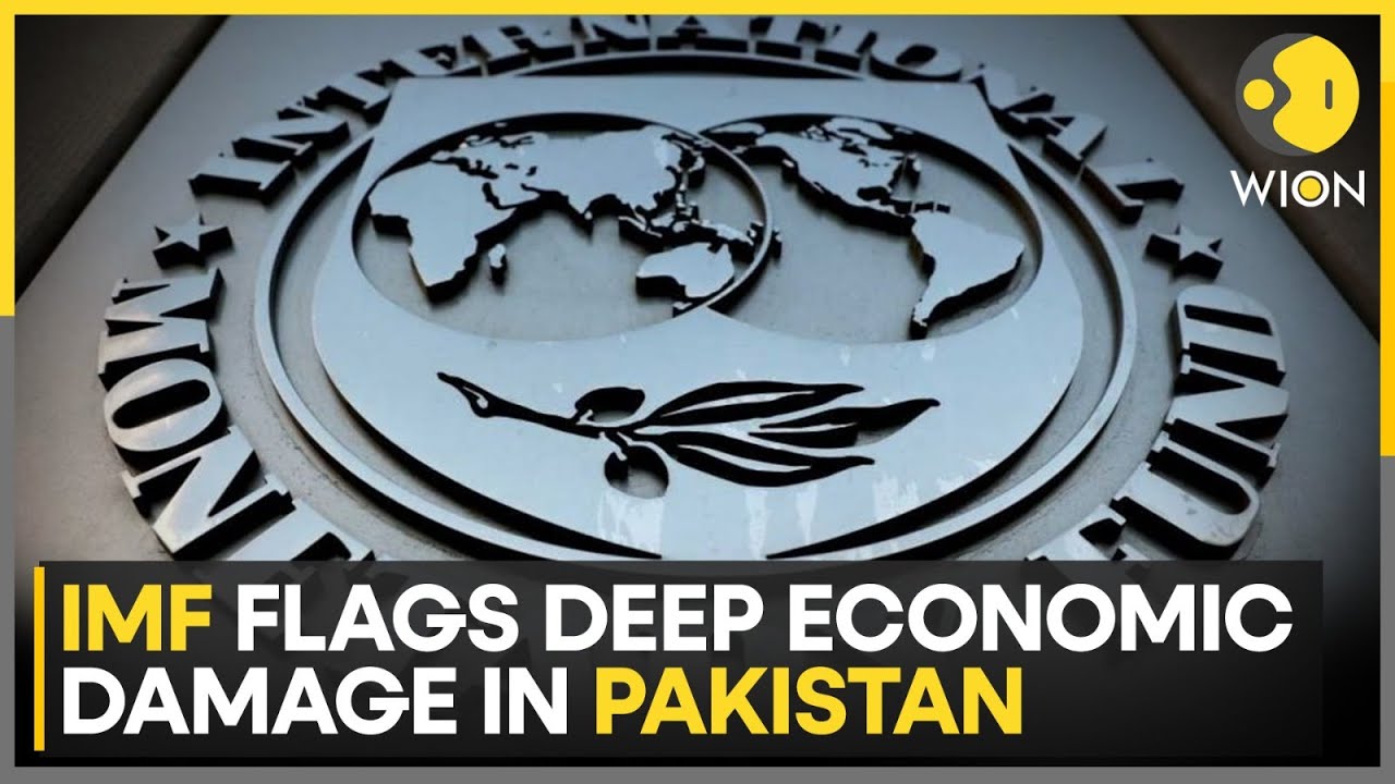 Pakistan's GDP Bleeds from Systemic Corruption | WION