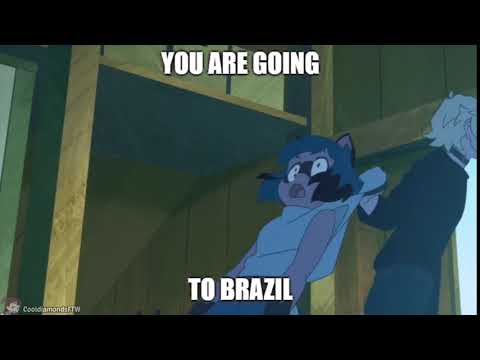 you are going to brazil