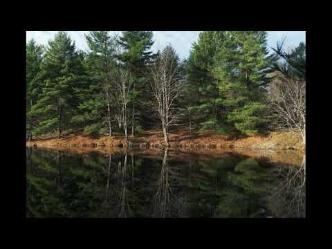 Bastien Laval feat. Layla - Restlessness (Club Mix)