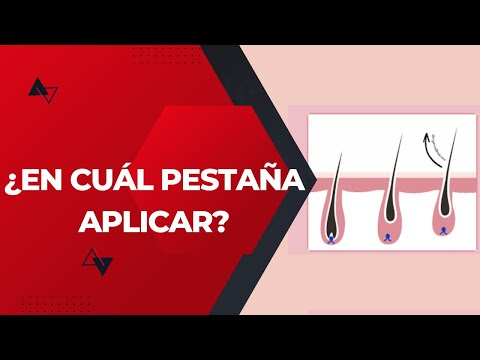 CONOCE EL CICLO DE LAS PESTAÑAS/ Shalom Spa