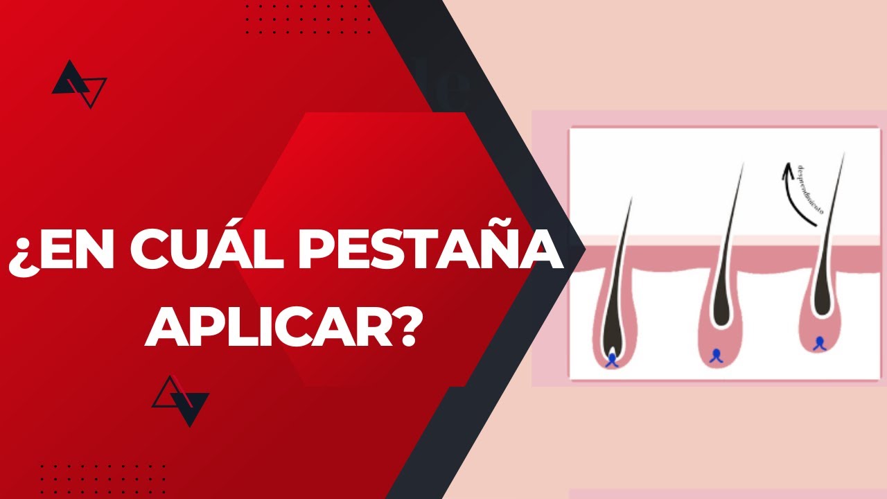 CONOCE EL CICLO DE LAS PESTAÑAS/ Shalom Spa