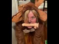 Funny Porn Parody Compilation