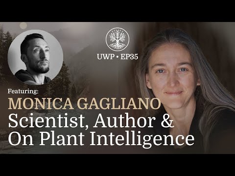 Universe Within Podcast Ep35 - Monica Gagliano - Scientist, Author & On Plant Intelligence