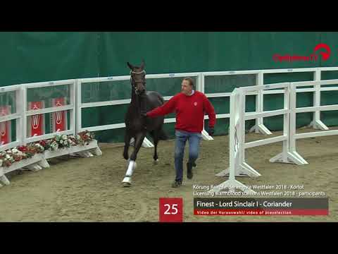 25 Hengst v. Finest - Lord Sinclair I - Coriander