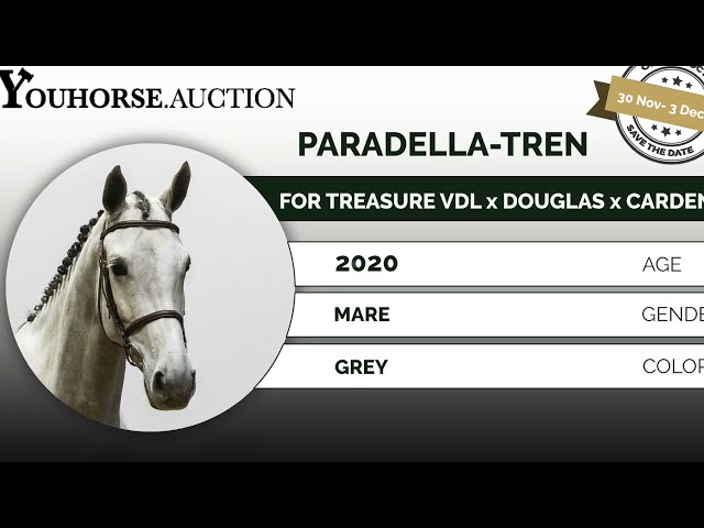 Paradella-Tren dressagevideo