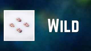 Kings Of Leon - Wild (Lyrics)