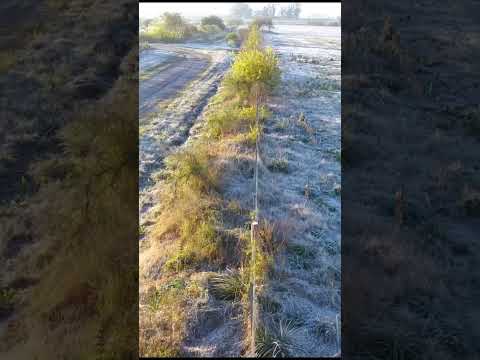 Así se vivió la helada de esta mañana de lunes en nuestro destino de BIENESTAR 💚❄️ #EntreRíos