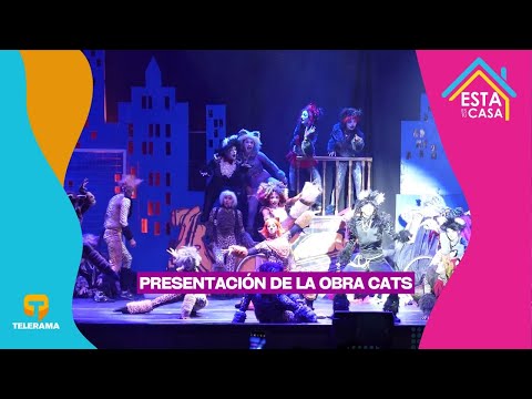 Presentación de la obra Cats