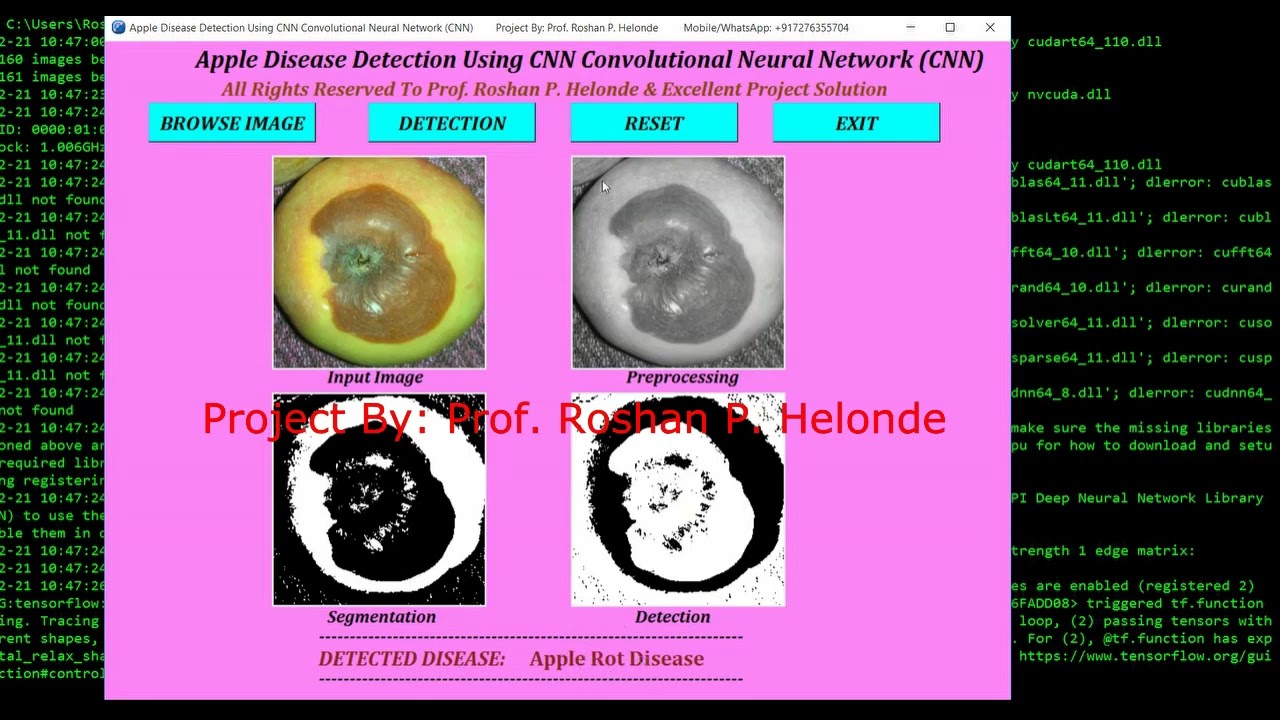 Detection Of Fruit Disease Using CNN Convolutional Neural Network Python Project With Source Code