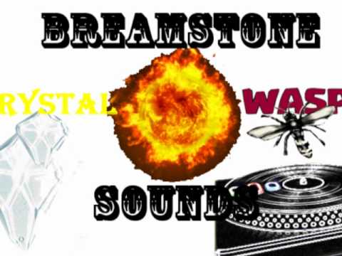 Mad Cobra - dont waste me time (Greensleeves Rhythm Album)