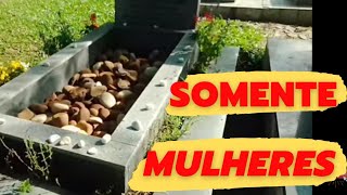 Cemitério ISRAELITA em Santa Maria-RS