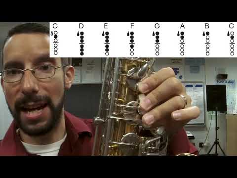 Concert B Flat Major Scale Introduction Video