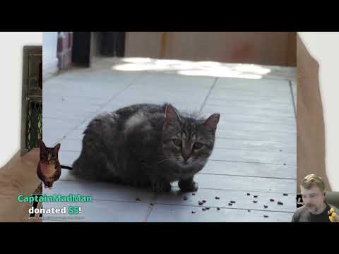 October 23, 2020 | Fallout: New Vegas | Al ChestBreach Streams