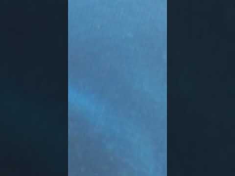 Stars for free 2019 - Wincent Weiss - Musik sein